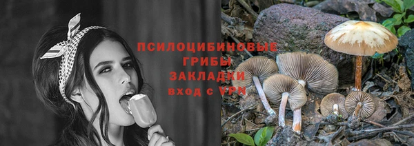 хмурый Куйбышев